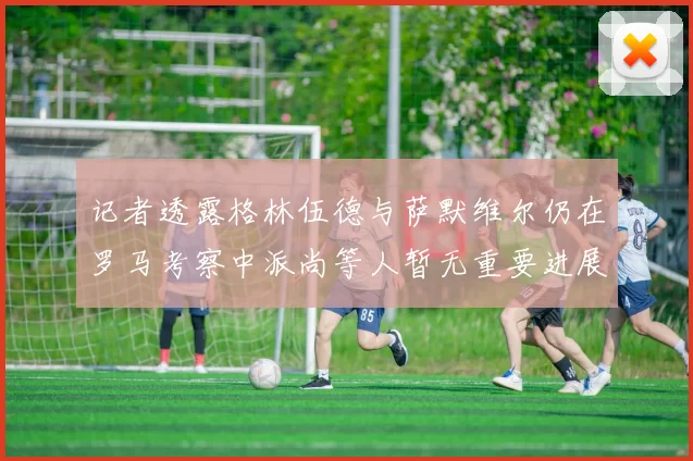 记者透露格林伍德与萨默维尔仍在罗马考察中派尚等人暂无重要进展消息